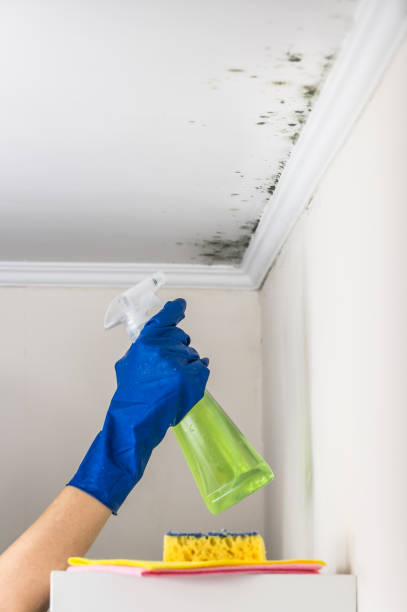 Best Residential Mold Remediation in Keowee Key, SC